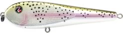 River2Sea ICBM 120 Hard Stickbait/Glidebait 21 River2Sea ICBM 120 Hard Stickbait/Glidebait -Danshui Fishing Shop 02RainbowTrout eadba6ed 8576 49bb ae99 7c2d8eb79b04
