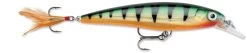 Rapala X-Rap 06 Shallow Diving Jerkbait -Danshui Fishing Shop 12381491888183