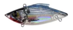 Bill Lewis Rat-L-Trap Lectric Shad Series Lipless Crankbait -Danshui Fishing Shop 12476158672951