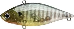 Lucky Craft LV-500 Max Lipless Crankbait 23 Lucky Craft LV-500 Max Lipless Crankbait -Danshui Fishing Shop 12634230194231