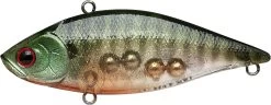 Lucky Craft LV-500 Max Lipless Crankbait 24 Lucky Craft LV-500 Max Lipless Crankbait -Danshui Fishing Shop 12634230226999