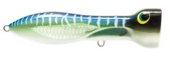 Nomad Design Chug Norris Freshwater/Inshore Popper 35 Nomad Design Chug Norris Freshwater/Inshore Popper -Danshui Fishing Shop 12674579234871