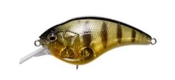 Megabass Sonicside Medium Diving Crankbait 16 Megabass Sonicside Medium Diving Crankbait -Danshui Fishing Shop 12963920379959