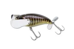 Jackall Pompadour Jr. Topwater Lure -Danshui Fishing Shop 12984638144567