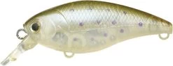 Lucky Craft Moonsault CB-50 Waking Crankbait -Danshui Fishing Shop 13025150599223