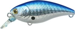 Lucky Craft Moonsault CB-50 Waking Crankbait -Danshui Fishing Shop 13025151025207