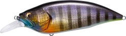 Megabass Big-M 4.0 Magnum Deep Diving Crankbait 15 Megabass Big-M 4.0 Magnum Deep Diving Crankbait -Danshui Fishing Shop 14412821069879