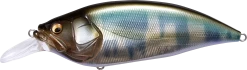 Megabass Big-M 4.0 Magnum Deep Diving Crankbait 19 Megabass Big-M 4.0 Magnum Deep Diving Crankbait -Danshui Fishing Shop 14412821200951