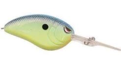 SPRO John Crews Little John DD 70 Extra Deep Diving Crankbait 24 SPRO John Crews Little John DD 70 Extra Deep Diving Crankbait -Danshui Fishing Shop 1 0fede604 2d04 4843 8265 2ce8ee40b3da