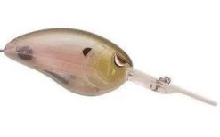 SPRO John Crews Little John DD 70 Extra Deep Diving Crankbait 37 SPRO John Crews Little John DD 70 Extra Deep Diving Crankbait -Danshui Fishing Shop 1 42bd2ef0 b819 4ece 8437 517778350052