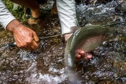 Temple Fork Outfitters Trout-Panfish Spinning Rods -Danshui Fishing Shop 21122588 1612726152092001 5893757740725659703 o