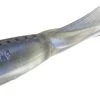 13 Fishing My Name Is Jeff 4 Inch Paddle Tail Swimbait 5 Pack