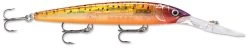 Rapala Down Deep Husky Jerk 14 Deep Diving Jerkbait -Danshui Fishing Shop 31332608573529