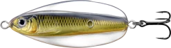 LIVETARGET Erratic Shiner Flutter Spoon 32 LIVETARGET Erratic Shiner Flutter Spoon -Danshui Fishing Shop 31342331527257