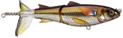 Chasebaits Drunken Mullet 95/130 Topwater Prop Lure 26 Chasebaits Drunken Mullet 95/130 Topwater Prop Lure -Danshui Fishing Shop 31431098892377