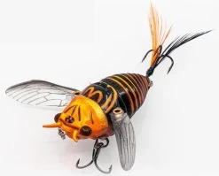 Chasebaits Ripple Cicada 1 3/4 Inch Wakebait Crawler 13 Chasebaits Ripple Cicada 1 3/4 Inch Wakebait Crawler -Danshui Fishing Shop 32233146908761
