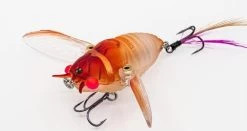 Chasebaits Ripple Cicada 1 3/4 Inch Wakebait Crawler 14 Chasebaits Ripple Cicada 1 3/4 Inch Wakebait Crawler -Danshui Fishing Shop 32233146941529