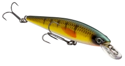 Strike King KVD 100 Series Suspending Shallow Jerkbait 31 Strike King KVD 100 Series Suspending Shallow Jerkbait -Danshui Fishing Shop 32272586637401