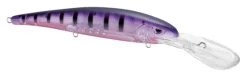 SPRO MadEye Minnow 120 Deep Diving Walleye Trolling Lure -Danshui Fishing Shop 32339518750809
