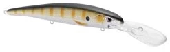 SPRO MadEye Minnow 120 Deep Diving Walleye Trolling Lure -Danshui Fishing Shop 32339518947417