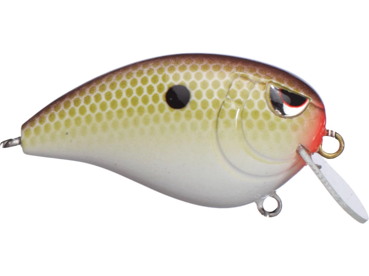 SPRO John Crews Baby Fat John 50 Shallow Crankbait 8 SPRO John Crews Baby Fat John 50 Shallow Crankbait - Image 6