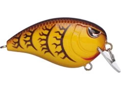 SPRO John Crews Baby Fat John 50 Shallow Crankbait 19 SPRO John Crews Baby Fat John 50 Shallow Crankbait -Danshui Fishing Shop 32341722923097