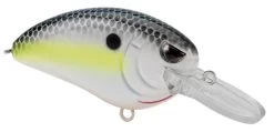 SPRO Little John MD 50 Type R Medium Diving Crankbait -Danshui Fishing Shop 39332415373401