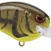 SPRO Little John MD 50 Type R Medium Diving Crankbait -Danshui Fishing Shop 39332415406169