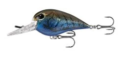13 Fishing Gordito 2 Inch Medium Diving Crankbait 11 13 Fishing Gordito 2 Inch Medium Diving Crankbait -Danshui Fishing Shop 39332617879641