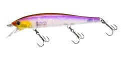 Hardcore Minnow Flat 70SP/95SP Suspending Jerkbait -Danshui Fishing Shop 39376113369177