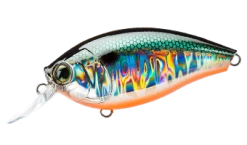 Hardcore Crank 65F 2+ Medium Crankbait -Danshui Fishing Shop 39410750849113