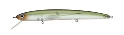 Daiwa Steez Custom HMKL Minnow Jerkbait 11 Daiwa Steez Custom HMKL Minnow Jerkbait -Danshui Fishing Shop 39553567588441