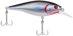 Berkley Flicker Shad Shallow Crankbait 24 Berkley Flicker Shad Shallow Crankbait -Danshui Fishing Shop 39767092854873