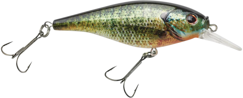 Berkley Flicker Shad Shallow Crankbait 8 Berkley Flicker Shad Shallow Crankbait - Image 6