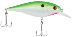 Berkley Flicker Shad Shallow Crankbait 33 Berkley Flicker Shad Shallow Crankbait -Danshui Fishing Shop 39767093149785