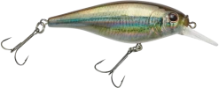 Berkley Flicker Shad Shallow Crankbait 37 Berkley Flicker Shad Shallow Crankbait -Danshui Fishing Shop 39767093280857