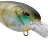 SPRO RK Crawler DD 50 Deep Diving Crankbait 2 SPRO RK Crawler DD 50 Deep Diving Crankbait -Danshui Fishing Shop 40302774714457