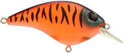 Berkley Clickin Frittside Crankbait -Danshui Fishing Shop 40318246682713