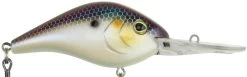 Berkley Dredger Deep Diving Crankbait Deeper Diving Models -Danshui Fishing Shop 40325002952793