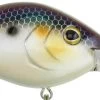 Berkley Dredger Deep Diving Crankbait Deeper Diving Models 1 Berkley Dredger Deep Diving Crankbait Deeper Diving Models -Danshui Fishing Shop 40325003018329