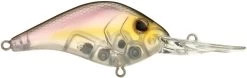 Berkley Dredger Deep Diving Crankbait Deeper Diving Models -Danshui Fishing Shop 40325003247705