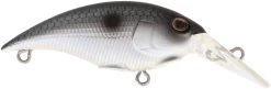 Berkley Money Badger Trolling Plug / Crankbait 35 Berkley Money Badger Trolling Plug / Crankbait -Danshui Fishing Shop 40326907494489
