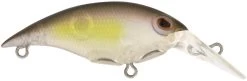 Berkley Money Badger Trolling Plug / Crankbait 38 Berkley Money Badger Trolling Plug / Crankbait -Danshui Fishing Shop 40326907592793