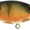 Berkley Money Badger Trolling Plug / Crankbait 2 Berkley Money Badger Trolling Plug / Crankbait -Danshui Fishing Shop 40326907953241