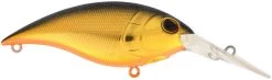 Berkley Money Badger Deep Diving Trolling Plug / Crankbait -Danshui Fishing Shop 40326922535001