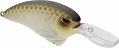 SPRO Outsider MR 60 Crankbait 19 SPRO Outsider MR 60 Crankbait -Danshui Fishing Shop 40342466396249