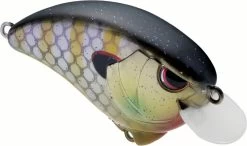 SPRO Outsider SR 55 Crankbait 16 SPRO Outsider SR 55 Crankbait -Danshui Fishing Shop 40342470099033
