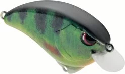 SPRO Outsider SR 55 Crankbait 18 SPRO Outsider SR 55 Crankbait -Danshui Fishing Shop 40342470164569
