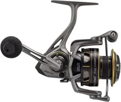 Team Lew's Custom Pro Speed Spin Spinning Reels 15 Team Lew's Custom Pro Speed Spin Spinning Reels -Danshui Fishing Shop 61x4RWGqyKL. AC SX679