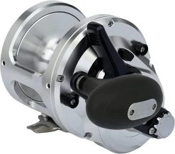 Shimano Talica 20BFC Billfish Concept Lever Drag Conventional Reel -Danshui Fishing Shop 71VyJgta 6L. AC SX679